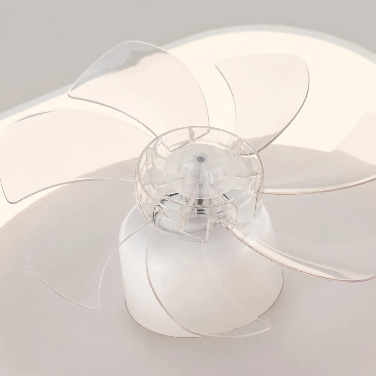 Transparent fan blade detail on ceiling fan light